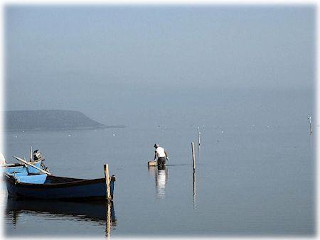 La pesca delle arselle. Ingrandisci l'immagine e accedi alla galleria delle foto.